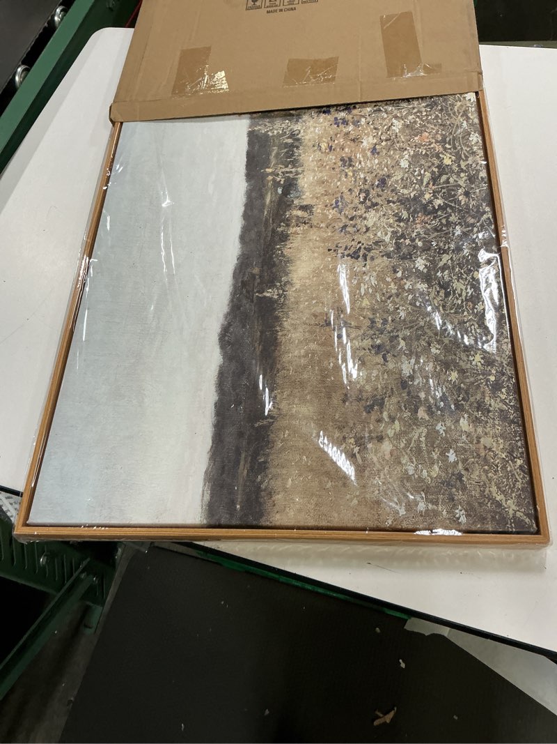 Condition photo showing Good Condition for djsylife framed wall art decoration, vintage wildflower field canvas wall art, classical flowers landscape painting prints, farmhouse cottagecore living room decor, modern home bedroom decor 20"x40" 40"l x 20"w champ fleuri