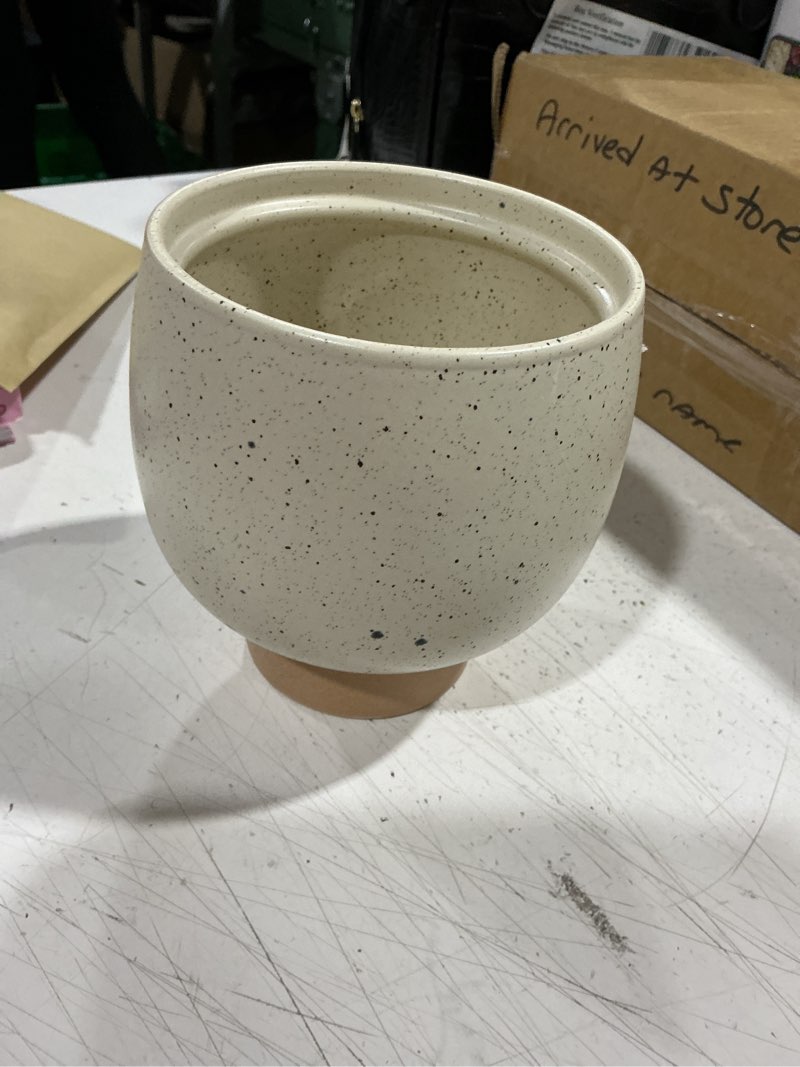 Condition photo showing Good Condition for mainstays 5.5"h small indoor speckle cream ceramic planter with tan base