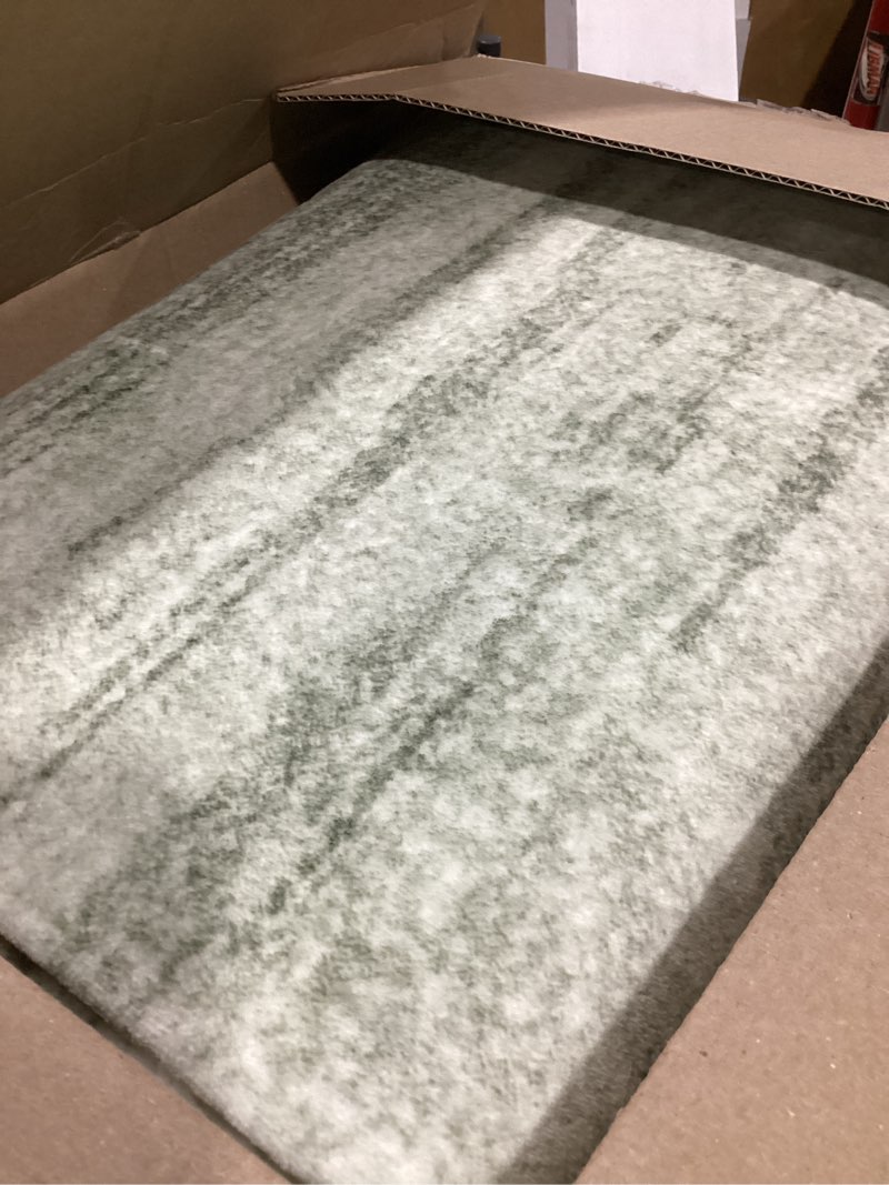 Condition photo showing Good Condition for LIVEBOX 8x10 Modern Area Rugs for Living Room, Abstract Non-Slip Washable Rugs, Minimalist Wave Striped Neutral Boys Girl Nursery Area Rug for Bedroom, Carpet for Playroom Office(Sage Green,8'x10') 8' x 10' Green