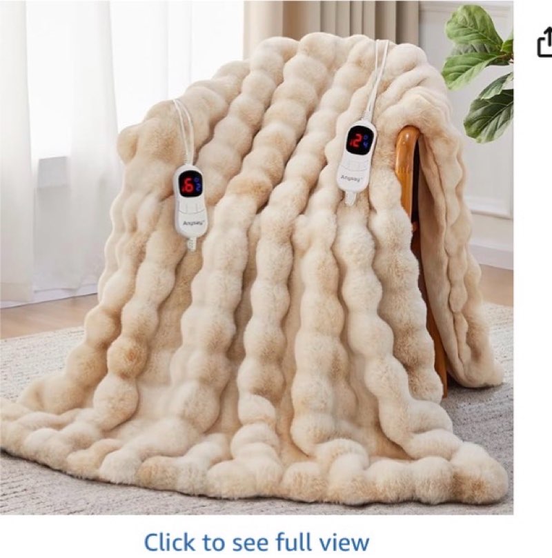 Anysay Heated Blanket King Size with 1/2/4/6/8 Hours Auto-Off 10 Heat Level, 90'' * 100'' Cozy Faux 