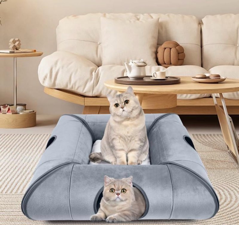 Indoor Cat Cave Bed, Sturdy and Scratch Resistant Removable Cat Tunnel Bed with Removable Soft Pad,Suitable for Small Cats (Gray) Small Without door