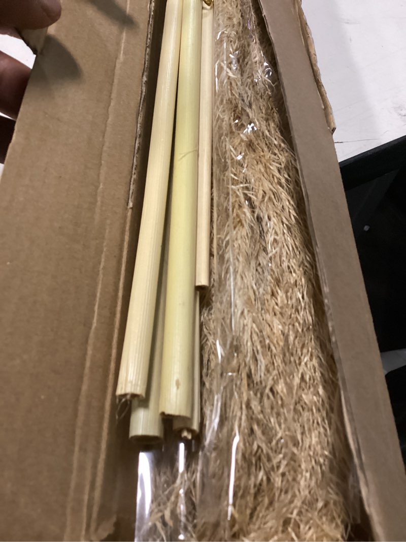 Condition photo showing Good Condition for natural pampas grass decor tall, pompas grass, tall pampas grass for weddingm, farmhouse, boho home decor (brown)