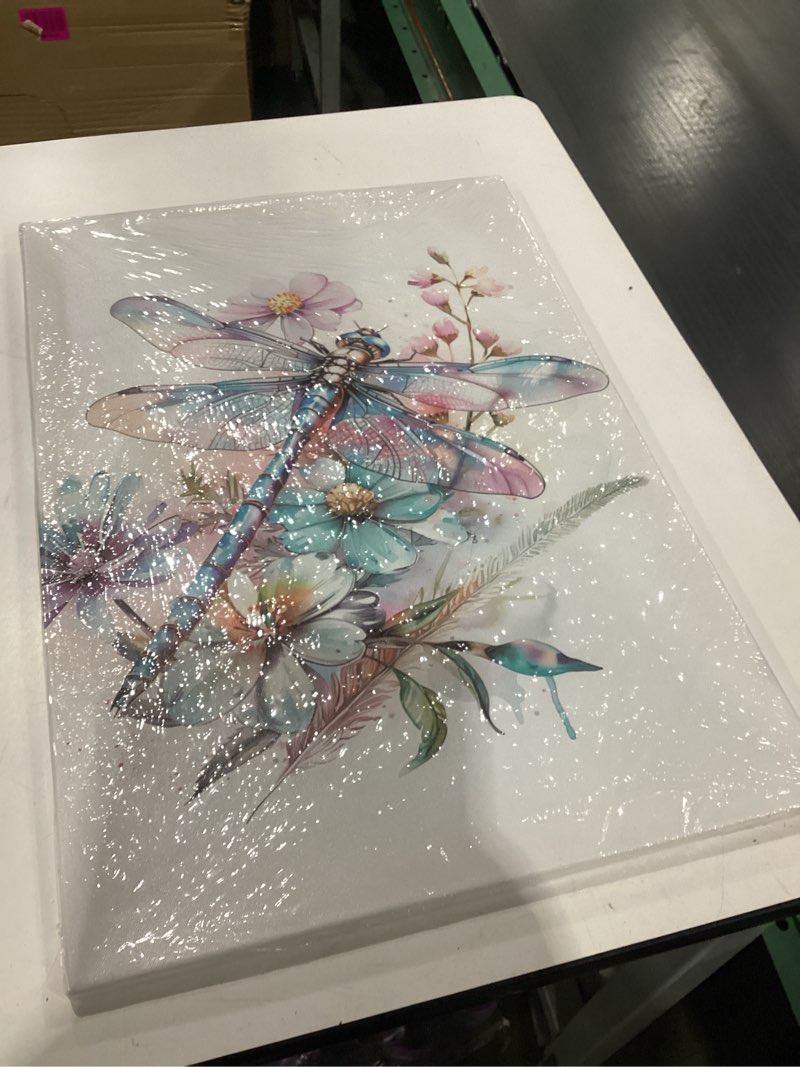 Condition photo showing New/Like New for ARTZGX Dragonfly Canvas Wall Art for Bathroom Watercolor Dragonfly Pictures Wall Decor Home Painting Framed (16.00" x 24.00") Dragonfly - A 16"L x 24"W