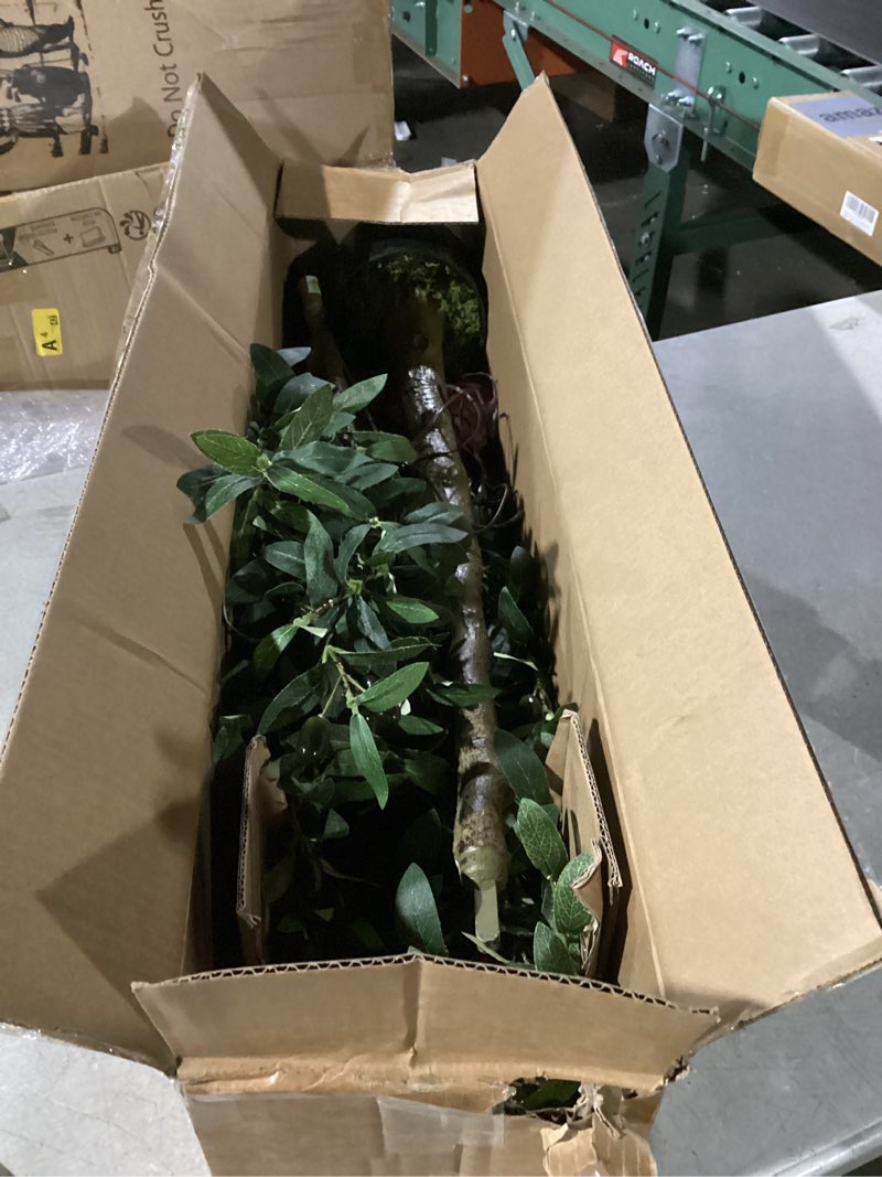 Condition photo showing Good Condition for Hairui Lighted Olive Tree with 300 Warm White Fairy Lights 6FT with Dimmer and Timer, Faux Greenery Tree Lights for Indoor Outdoor Home Decoration 6FT-Olive Tree