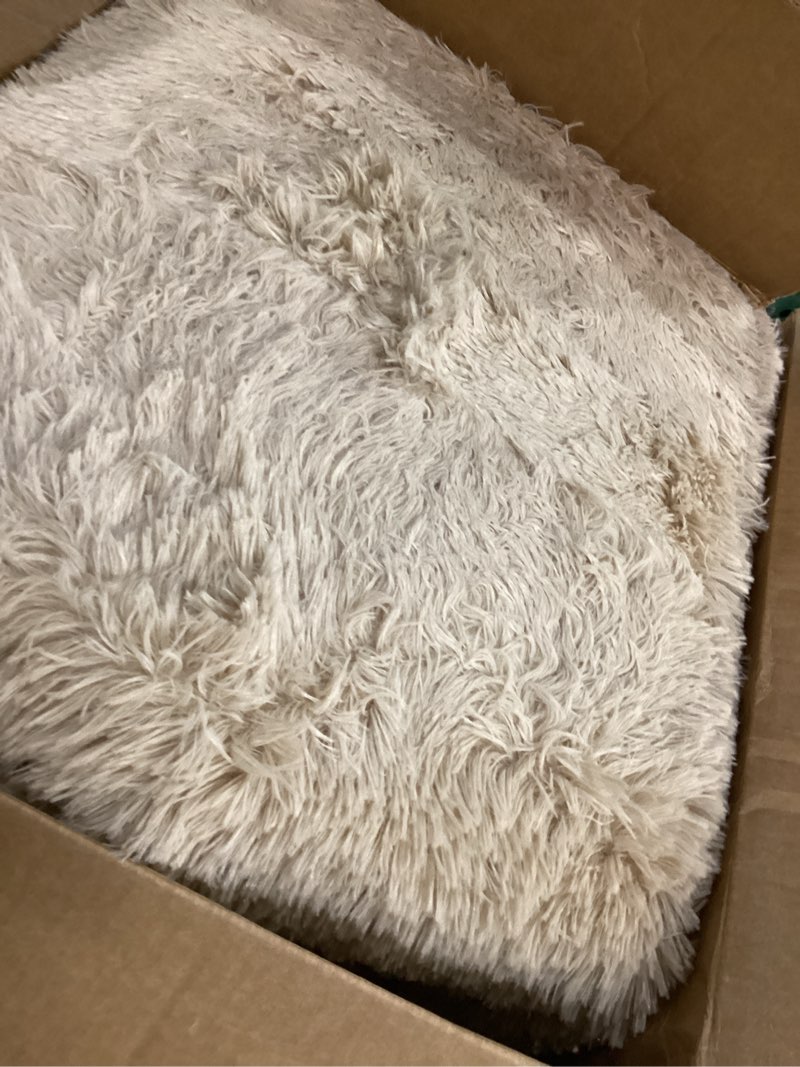 Condition photo showing Good Condition for olanly 7x8 machine washable large area rugs for living room, bedroom, soft fluffy shaggy bedside rug, indoor floor carpet for kids girls and boys, dorms, nursery, home decor aesthetic, beige 7x8 ft beige