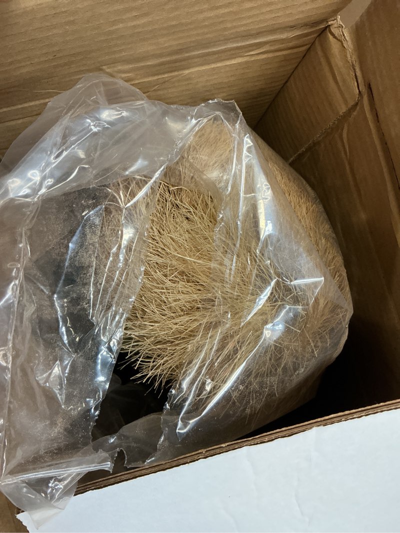 Condition photo showing Good Condition for flambeau outdoors master series lone howler coyote predator decoy 1 piece