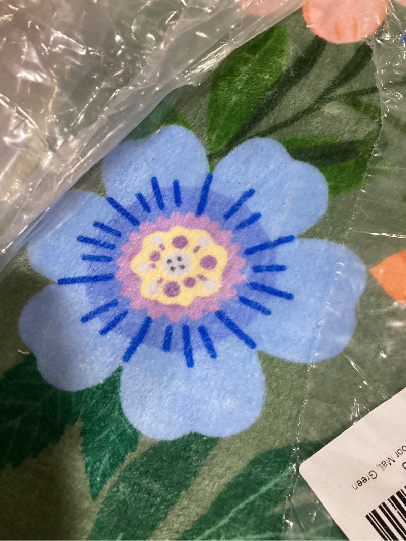 Condition photo showing Good Condition for BATATADOCE Washable Runner Rug 2x6, Floral Runner Rug for Kitchen Floor Hallway Floral Living Room Rugs for Kids Girls Bedroom Nursery Indoor Door Mat, Green Multi 1031 2' x 6' (Runner)