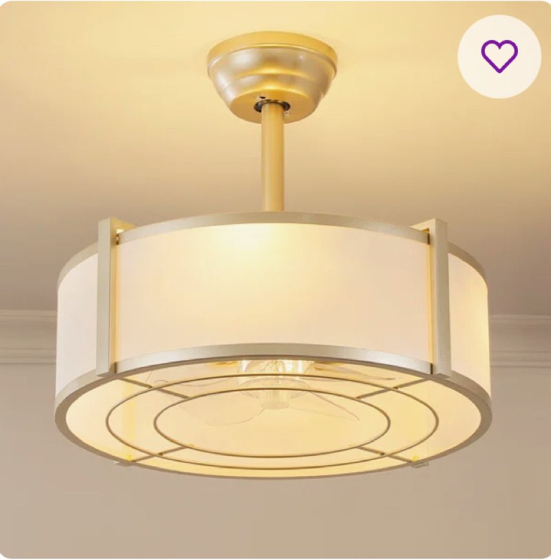 19'' Modern Ceiling Fan With Light