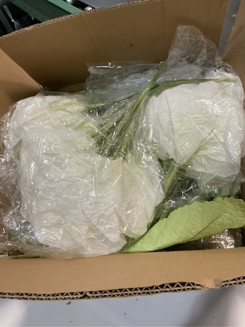 Condition photo showing Good Condition for 3Pcs Hydrangea Artificial Flower Decorations, Giant Flowers Wedding Decorations for Reception for Baby Shower Birthday Christmas Party Banquet Backdrop Shop Window Display Props (White) Xiuqiubai