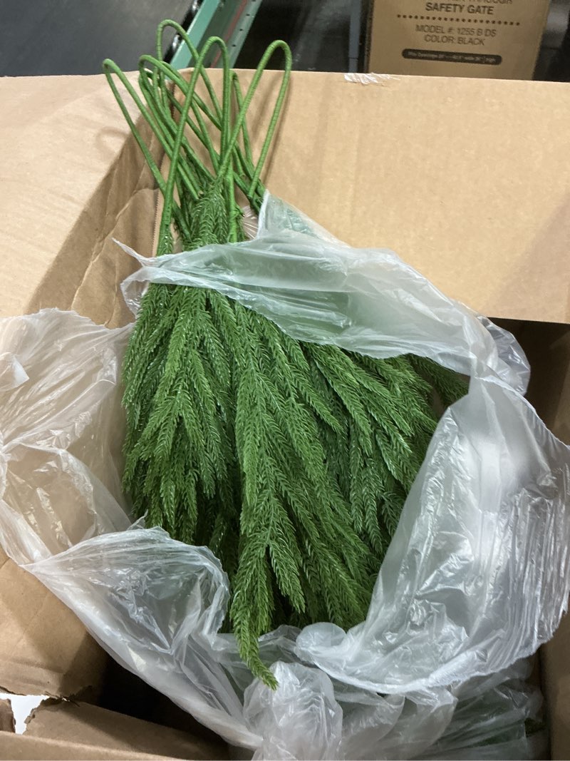 Condition photo showing Good Condition for Caffox 8 Pcs Artificial Norfolk Pine Stems, 36" Real Touch Norfolk Pine Branches, Greenery Stems for Christmas Decorations