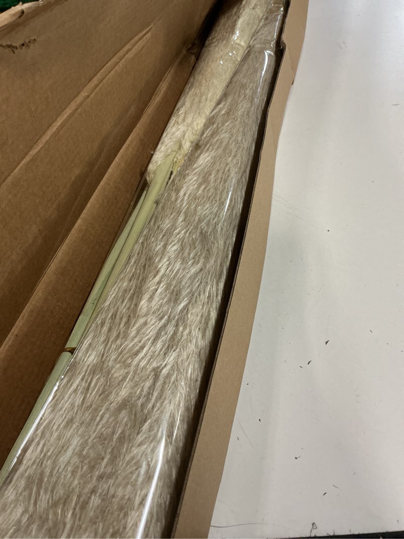 Condition photo showing New/Like New for johouse 16pcs 40'' dried pampas grass home decor - fluffy real tall pampas grass for floor vase boho bedroom, wedding & rustic farmhouse