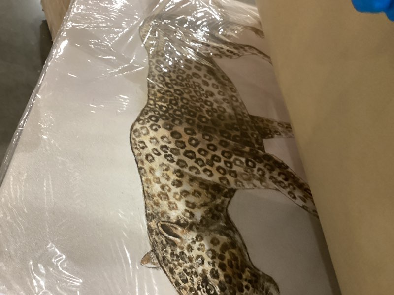 Decorative jaguar picture