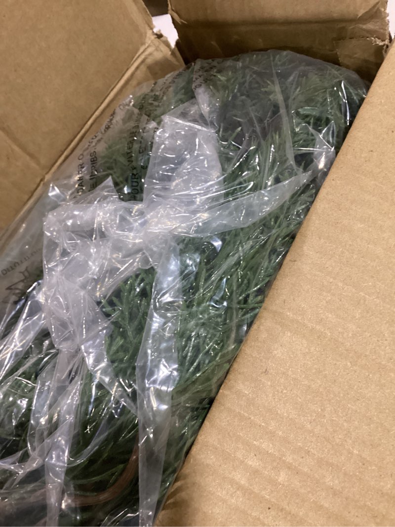Condition photo showing Good Condition for 6.2 FT Prelit Christmas Cedar Garland 2 PCS, Realistic Artificial Pine Needle Faux Cypress Greenery with 20 Lights for Christmas Table Mantle Wall Room Outdoor Indoor Winter Decoration Cedar Garland 6 FT-2 PCS