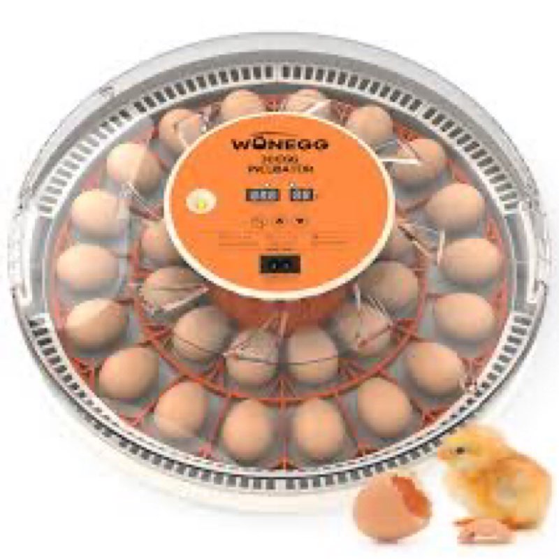 WONEGG 30 Egg Incubators for Hatching Eggs with Automatic Egg Turner, Auto Temperature Control, LED 