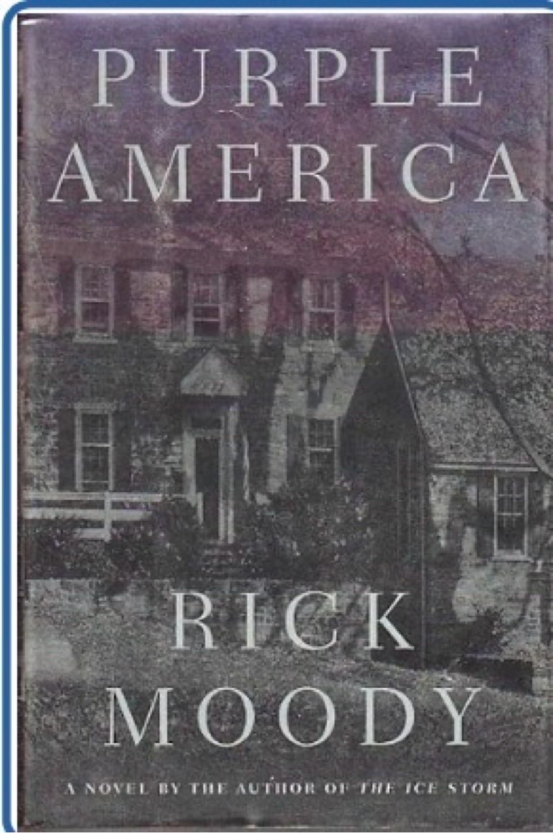 Purple America: A Novel