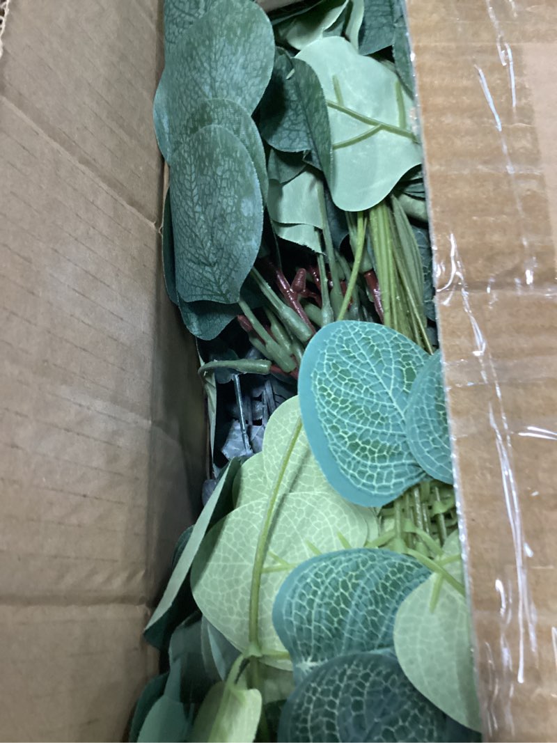 Condition photo showing Good Condition for giegxin 180 pcs 3 kinds mixed eucalyptus leaves stems bulk artificial silver dollar leaves picks dried eucalyptus bundle faux spray for wedding vase bouquet floral arrangement (green) green 180