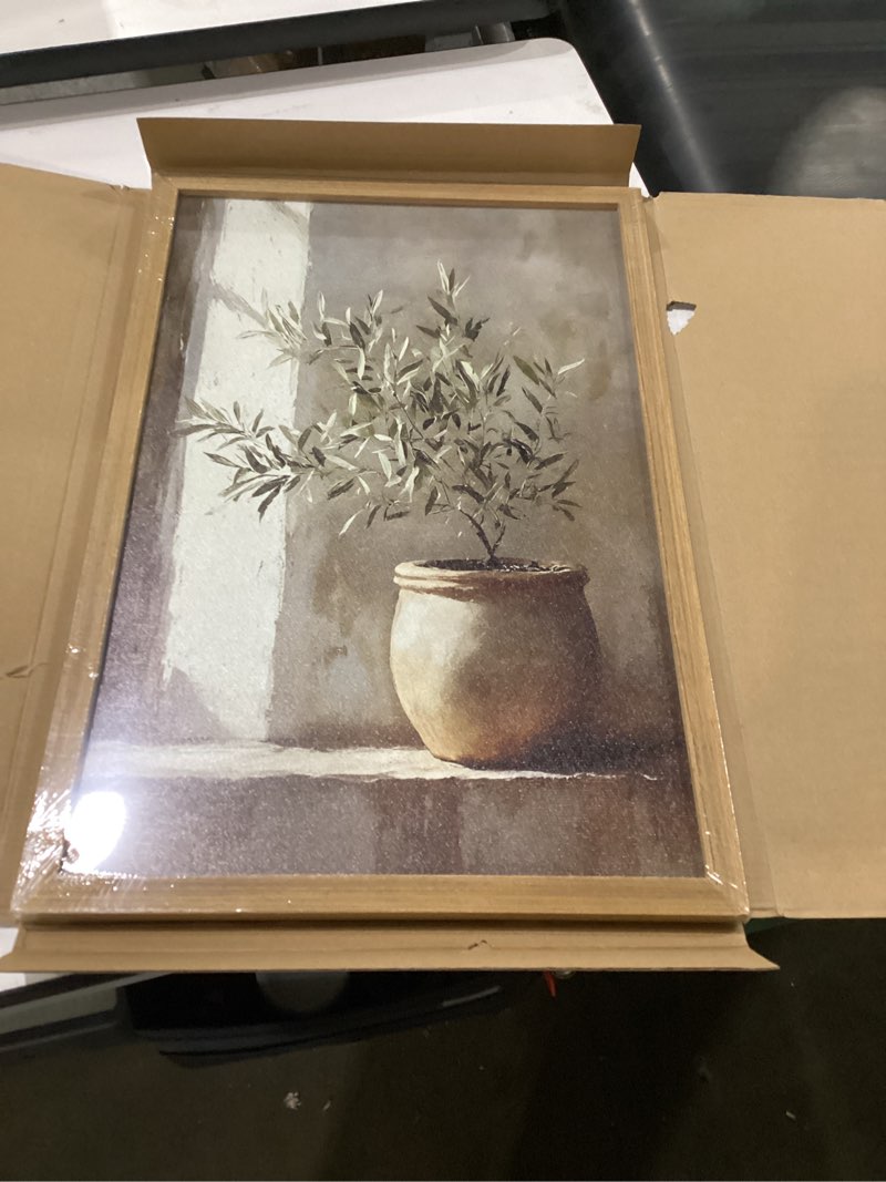 Condition photo showing Good Condition for vintage framed olive tree canvas wall art, neutral botanical pictures wall decor, rustic potted plant paintings prints, organic modern farmhouse artwork for living room bedroom 12x16 inch
