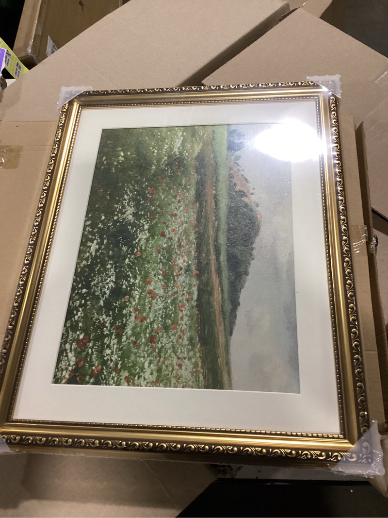 Condition photo showing New/Like New for ARPEOTCY Vintage Gold Framed Large Wall Art, Fields with Wild Poppies Retro Paintings, Canvas Prints Artwork with Antique Frame, Victorian Wall Picture Decor for Gallery Living Room 16x20 inch Fields with Poppies 20"L x 16"W