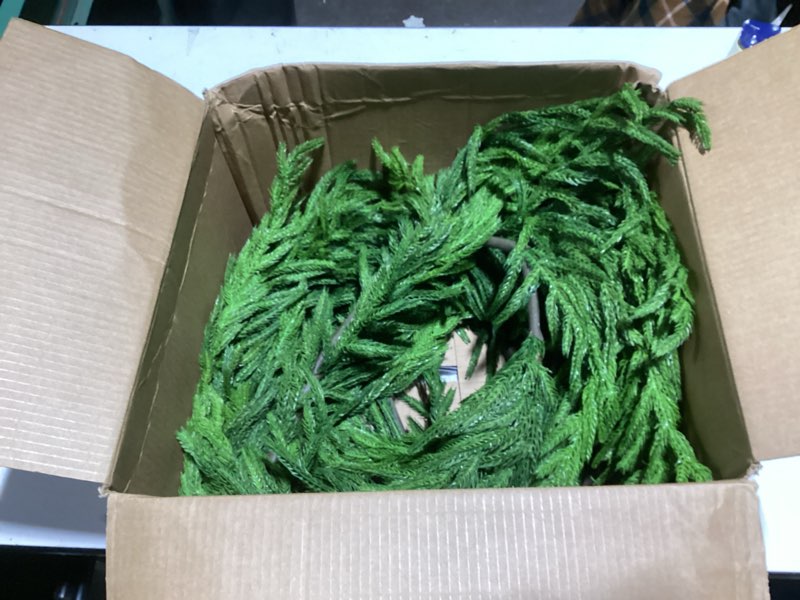 Condition photo showing Good Condition for 15FT Christmas Garland Real Touch Norfolk Pine Garland Winter Pine Garland for Mantle Stairs Railing Table Fireplace Wall Indoor Outdoor Holiday Xmas Decor Decoration Classic Norfolk Pine 15FT