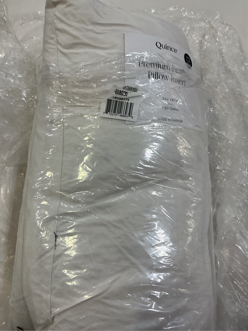 Condition photo showing Good Condition for premium feather pillow insert, 20x20, no color