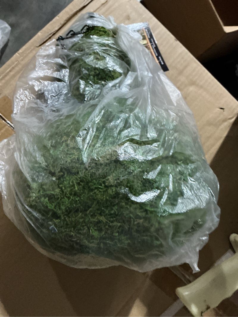 Condition photo showing New/Like New for SuperMoss 56011 Gourd Birdhouse with Chain, 7.5 by 12-Inch, Fresh Green