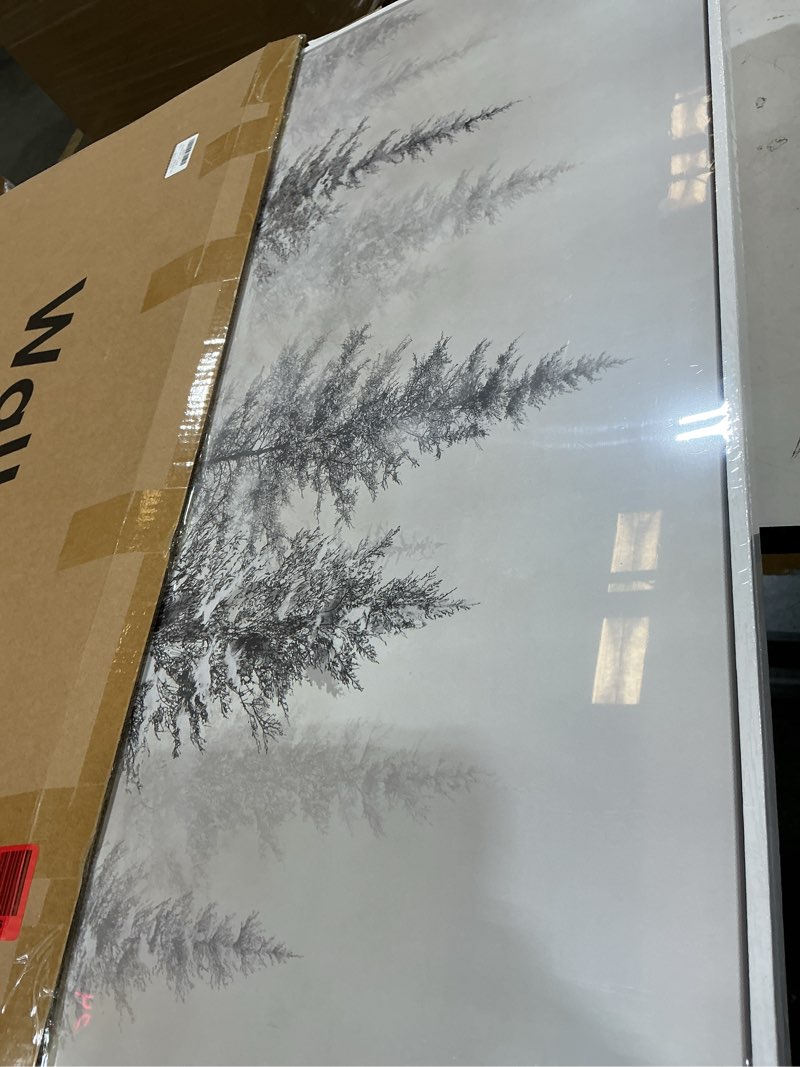 Condition photo showing Good Condition for framed black and white forest landscape wall art, modern minimalist pine tree canvas art prints, contemporary nature pictures wall decor for living room bedroom dining room hallway office 24x36 in 36"l x 24"w black and white pine tree