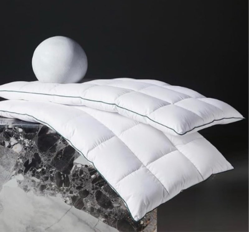 three geese ultra thin flat goose down feather pillows for sleeping king size set of 2, 2.5" height, 100% cotton cover, ultra slim hotel collection bed pillow for stomach, back sleeper, 18x36 in.