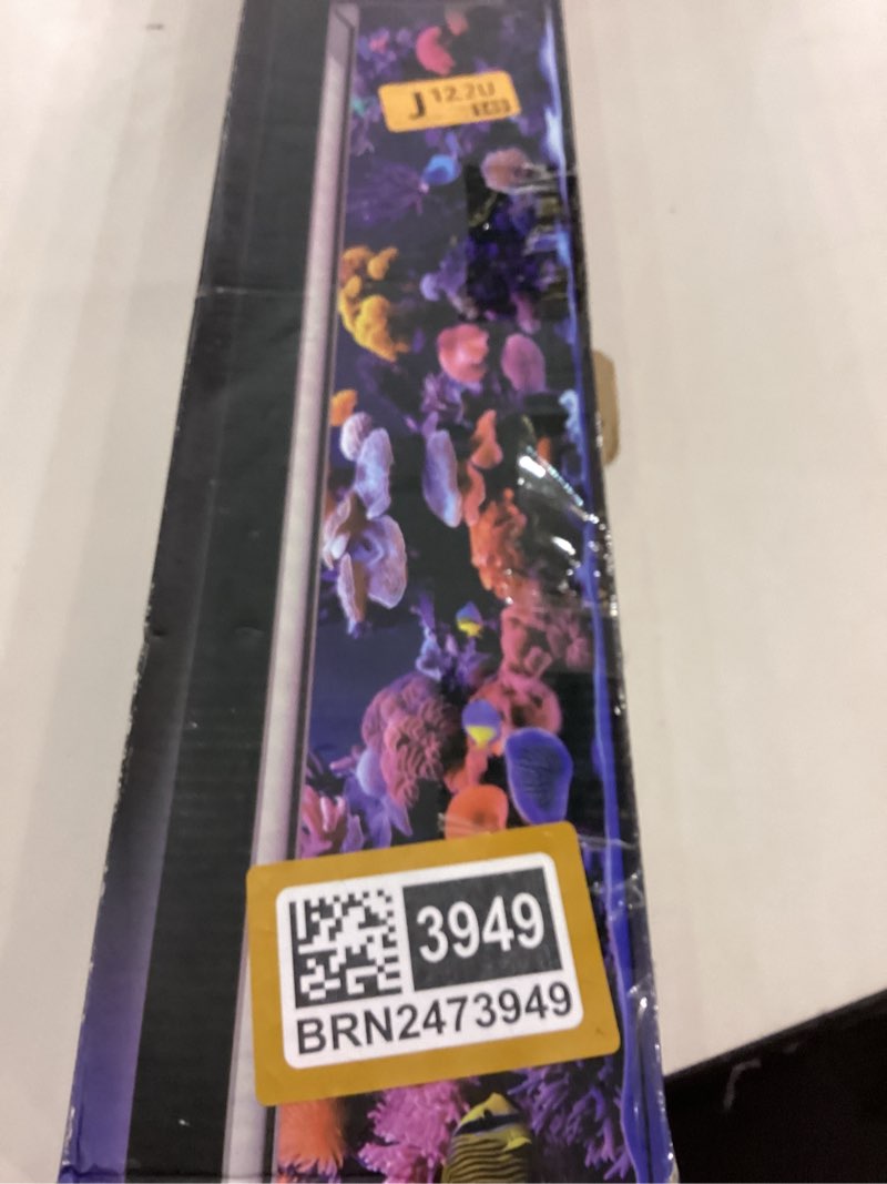 https://lotting-media.assets.bidfta.com/lotting_36bbebe2-aaf1-4c7e-84a6-c0b6404292e8