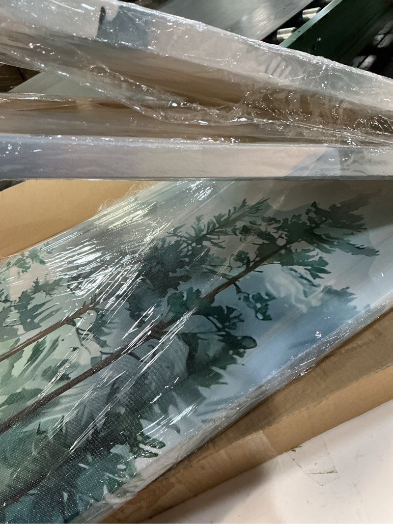 Condition photo showing Good Condition for W110592810 \" Soft Gray Redwood Trees In Us Forest II \"-848377100-848377099 \" Soft Gray Redwood Trees In Us Forest II \"-848377100-848377099 \" Soft Gray Redwood Trees In Us Forest II \"-848377100-848377099 \" Soft Gray Redwood Trees In Us Forest II \"-848377100-848377099 \" Soft Gray Redwood Trees In Us Forest II \"-848377100-848377099  \" Soft Gray Redwood Trees In Us Forest II \"-848377100-848377099 \" Soft Gray Redwood Trees In Us Forest II \", Wrapped Canvas, 32\" H x 24\" W x 1\" D  \" Soft Gray Redwood Trees In Us Forest(similar)