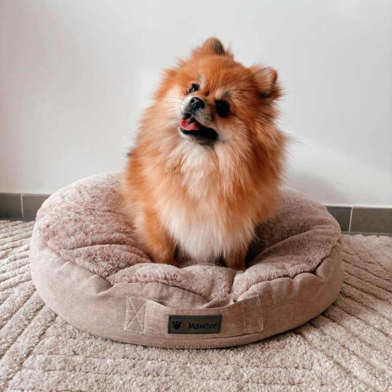 MaxCor Large Round Beige Memory Foam Dog Cushion - Relieves and Preserves Joints - Relaxing and Reve