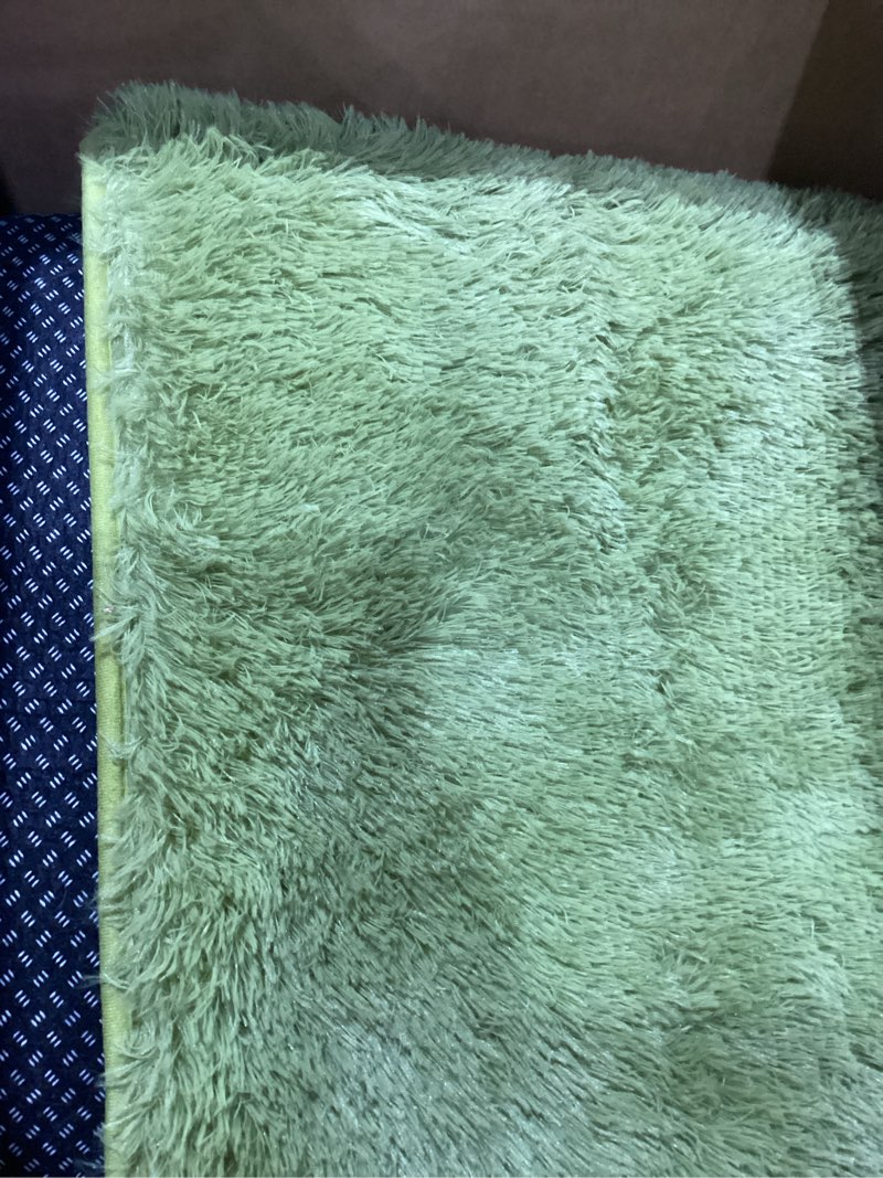 Condition photo showing Good Condition for ophanie green rug grass area rugs for bedroom, 4x6 shag fluffy carpet, fuzzy furry plush soft cute kids baby girls shaggy bedside indoor floor carpets for teen dorm home decor aesthetic, nursery 4' x 6' (rectangular) 7- green