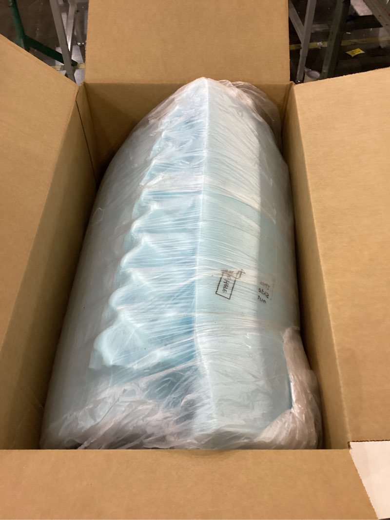 Bed eggshell size unknown