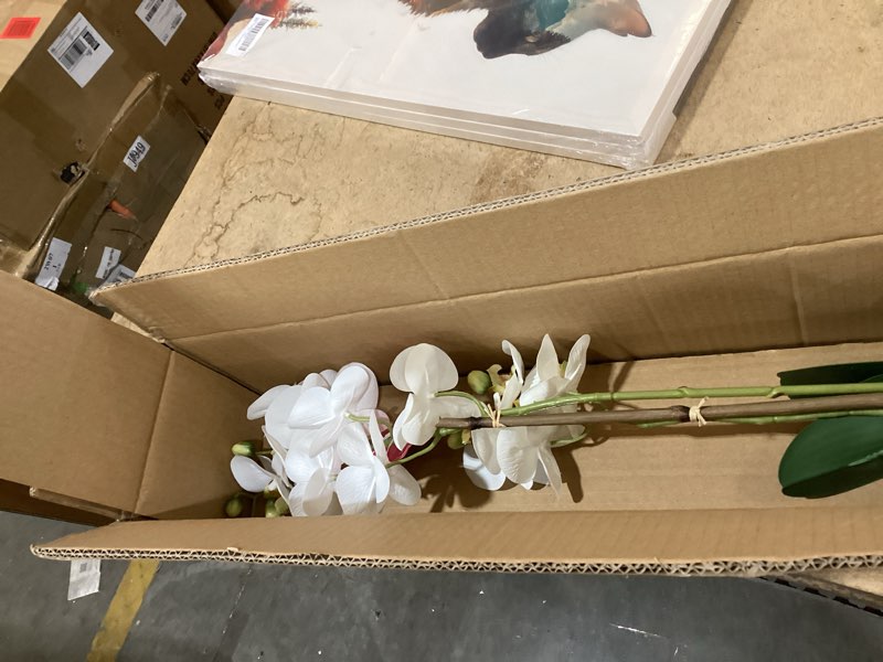 Condition photo showing New/Like New for dolly parton white artificial orchid in pink ceramic pot, 9.8x5.5x24 inch