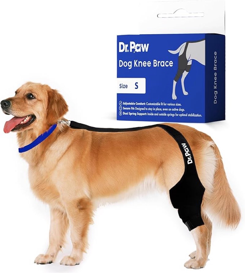 Dr. Paw Dog ACL Knee Brace, Dog Knee Brace for Torn ACL Hind Leg, Dog ACL Brace hind Leg, Dog Leg Braces for Back Leg, Joint Pain Relief, Secure Fit, S-XL Sizes (Small)