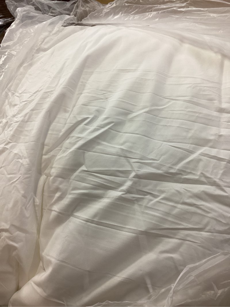 Condition photo showing Good Condition for Leeden 24 x 24 Pillow Inserts (Set of 2) - Throw Pillow Inserts with 100% Cotton Cover - 24 Inch Square Decorative Pillows for Sofa, Couch, Bed and Home Decor 24 Inch x 24 Inch