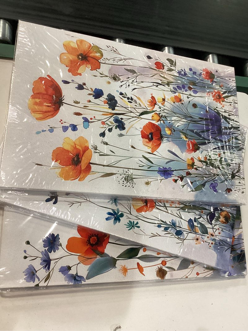 Condition photo showing New/Like New for tthyuews boho wall art for living room & bedroom - modern wall decorations - 3 piece set - flowers watercolour paintings & posters - home decor 16x24inches*3pcs flowers pictures