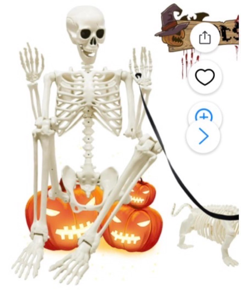 ZJQYDS 5.4Ft Posable Halloween Skeleton, Full Body Life Size Skeleton with Dog Skeleton for Halloween Spooky Party Props Decor