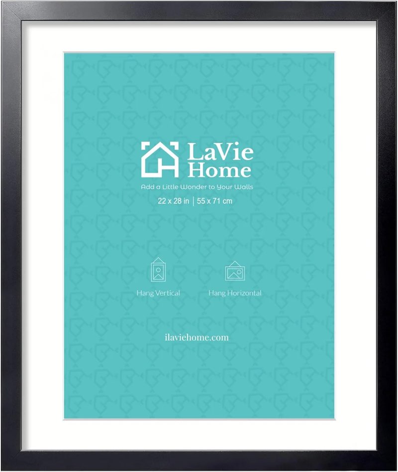lavie home 22x28 picture frame