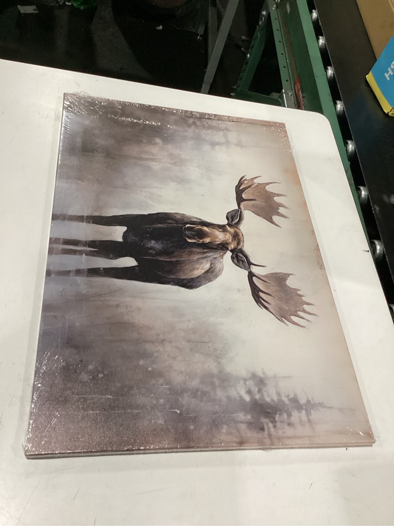Condition photo showing Good Condition for zxhywym large moose wall art wildlife canvas pictures rustic forest wilderness animal painting elmer moose artwork for home cabin wall decor frame (c, (16.00" x 24.00")) c 16.00" x 24.00"