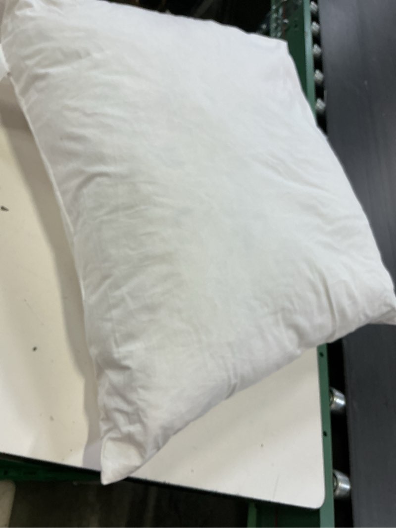 Condition photo showing Good Condition for premium feather pillow insert color white size: 20x20