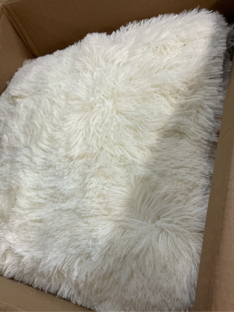Condition photo showing As Is for 8x10 area rugs for living room bedroom, large area rug shaggy carpet soft plush furry bedside rug, rugs for home decor (cream, 8 x 10) 8' x 10' (rectangular) cream