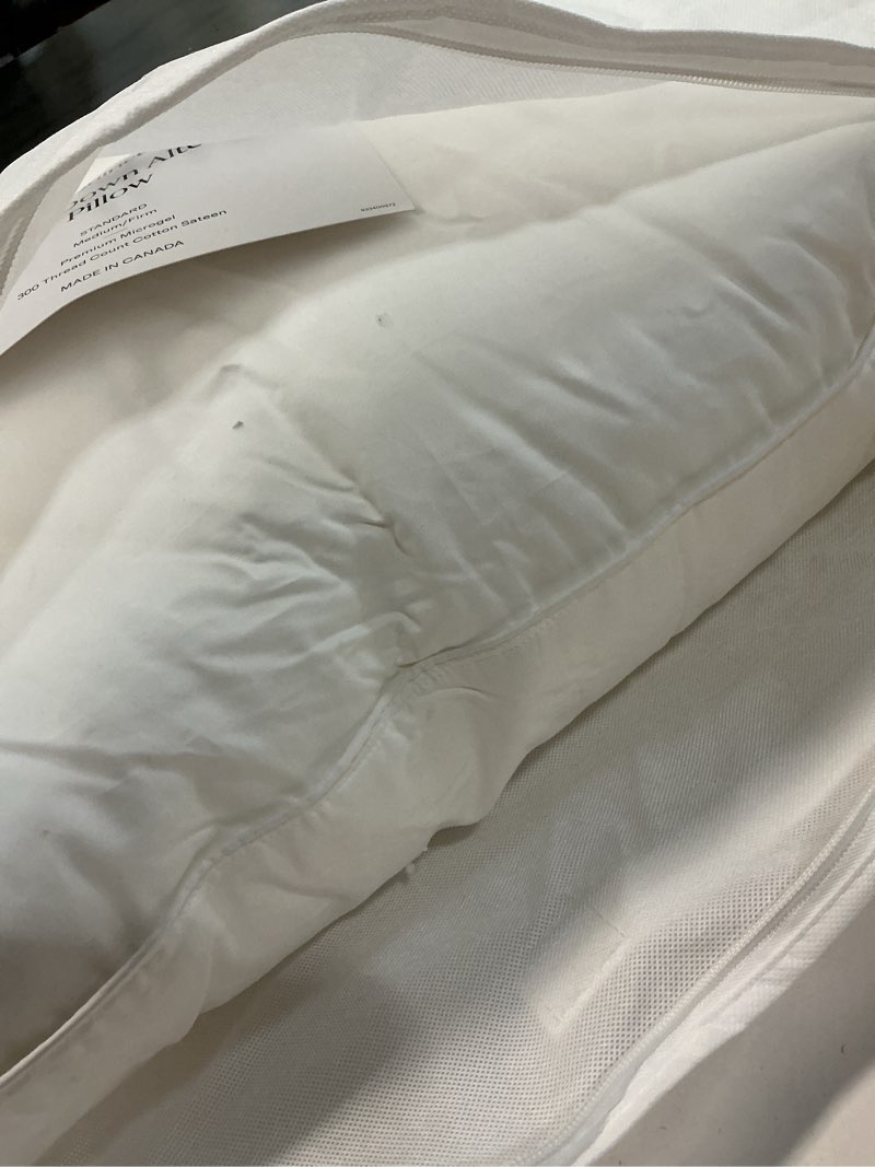 Condition photo showing Good Condition for premium down alternative pillow medium