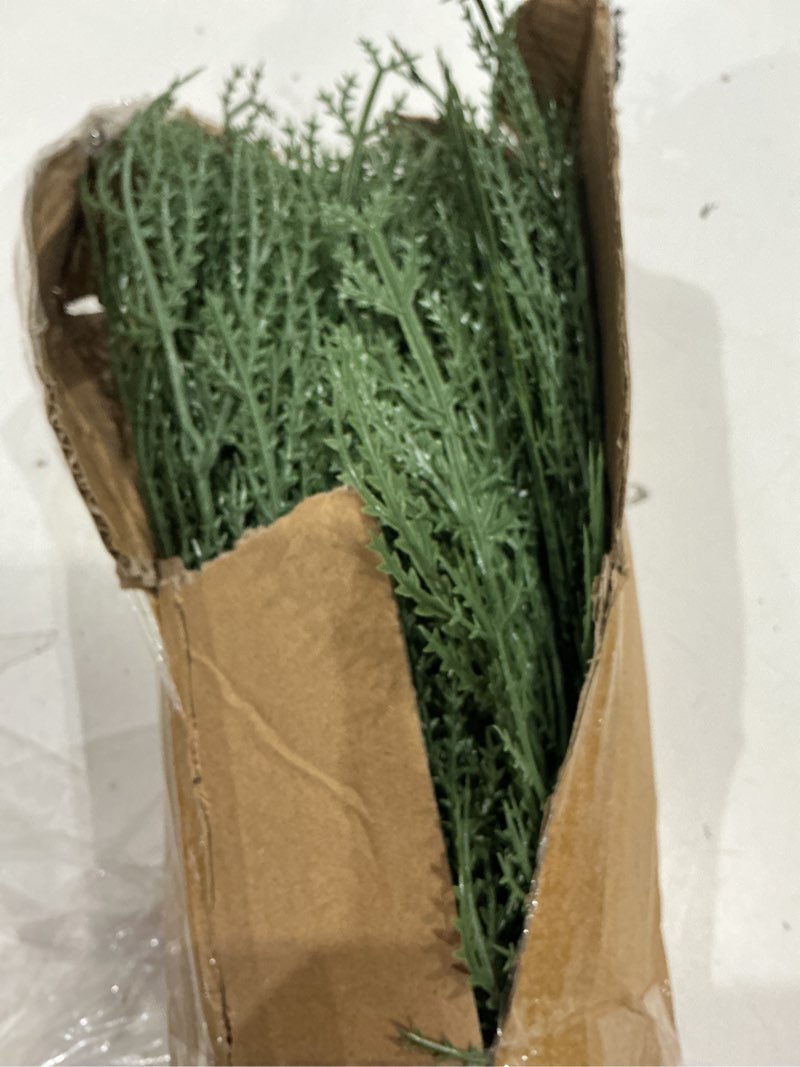 Condition photo showing Good Condition for hananona 40 pcs artificial cedar picks faux cedar branches fake cypress stems plastic pine greenery christmas picks and sprays diy accessories for crafts wreath holiday home decor (40, green) green 40