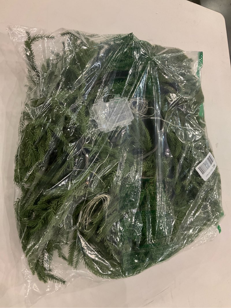 Condition photo showing New/Like New for Christmas Garland with Lights