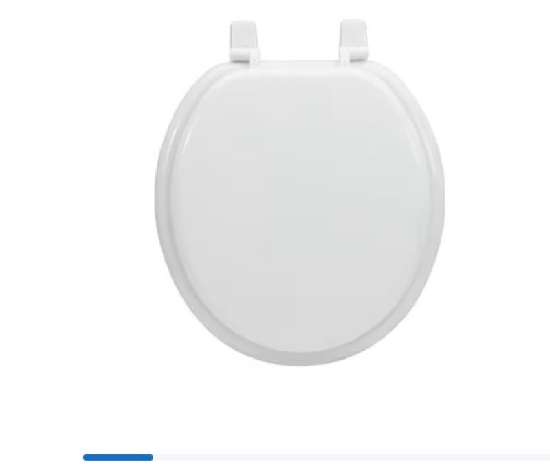 project source wood white round toilet seat