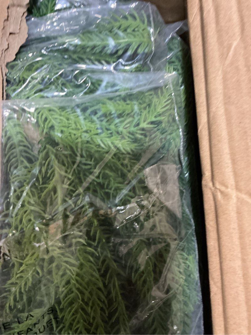 Condition photo showing Good Condition for 3 Pcs Artificial Norfolk Pine Garlands Christmas, 9 FT Dense Real Touch Winter Pine Garland Ornament, Green Artificial Greenery Garland for Table, Mantle, Wall, Indoor, Outdoor Christmas Decorations Norfolk Garland 9 FT-3 PCS