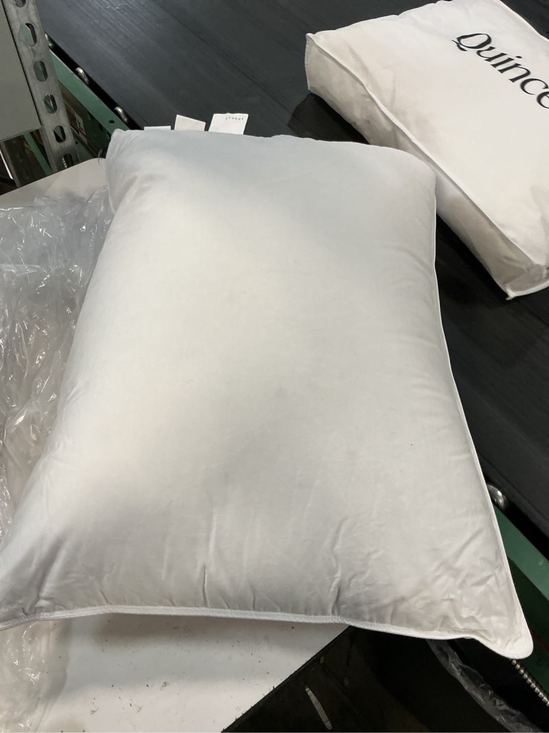 Condition photo showing Good Condition for luxe goose down pillow, standard, medium/firm