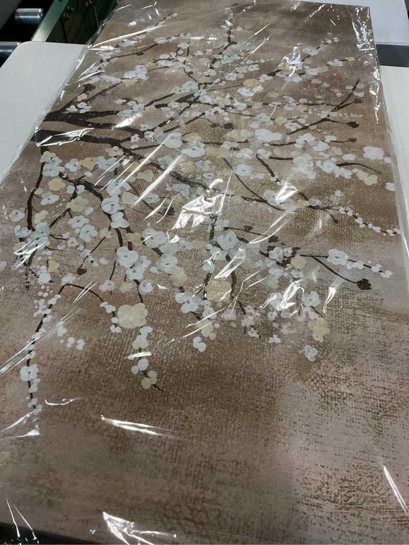 Condition photo showing New/Like New for artewoods flower canvas wall art for living room plum blossom pictures for bedroom wall decor abstract elegant floral canvas prints artwork home wall decorations framed ready to hang 20" x 40" plum blossom flowers wrapped canvas 40"l x 20"w