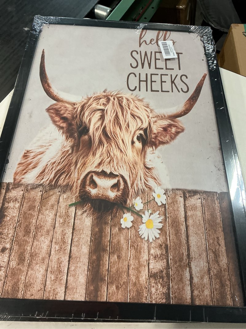 Condition photo showing New/Like New for highland cow bathroom decor farmhouse bathroom wall art western cattle on toilet pictures canvas painting artwork funny cow bathroom signs decoration gifts framed 8"x10" highland cow art 10"l x 8"w
