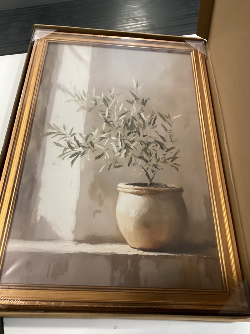 Condition photo showing Good Condition for BRUZYIYE Gold Framed Wall Art Vintage Green Olive Tree Neutral Botanical Canvas Prints Rustic Plant 